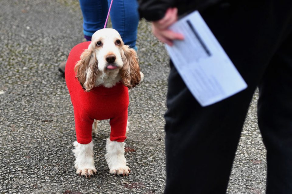 British Voters Go To The Polls